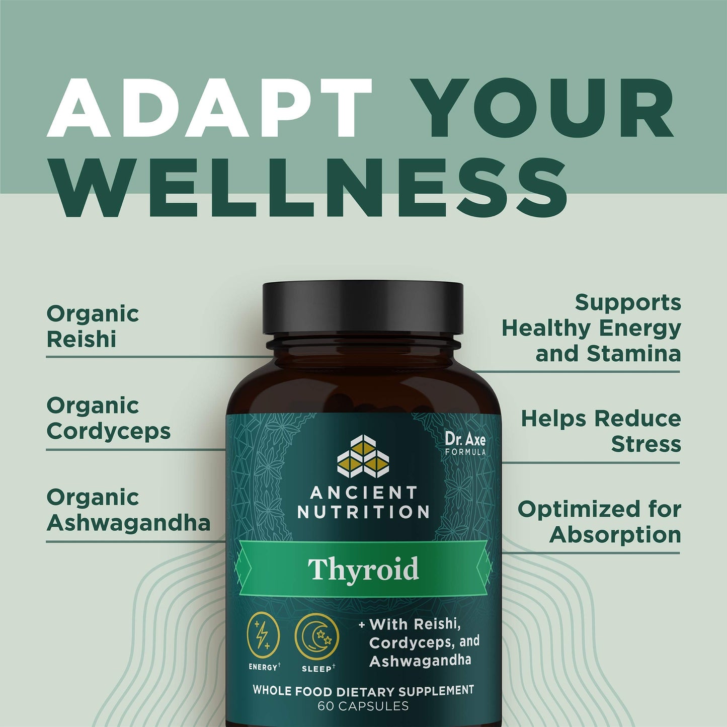 Ancient Nutrition Thyroid Support Capsules with Ashwagandha - Restful Sleep & Stress Support | Gluten Free, Paleo & Keto - 60 Count