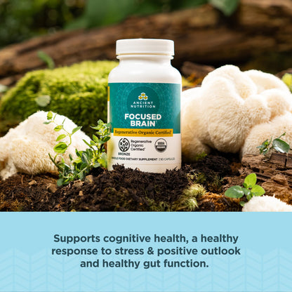 Ancient Nutrition Regenerative Organic Certified Focused Brain Capsules - Ginkgo Leaf & Lion's Mane, Gluten Free, Paleo & Keto (90 Count)