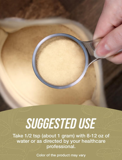 Reishi Mushroom Extract Powder – 500g (1g/Serving) – Gluten Free | BulkSupplements
