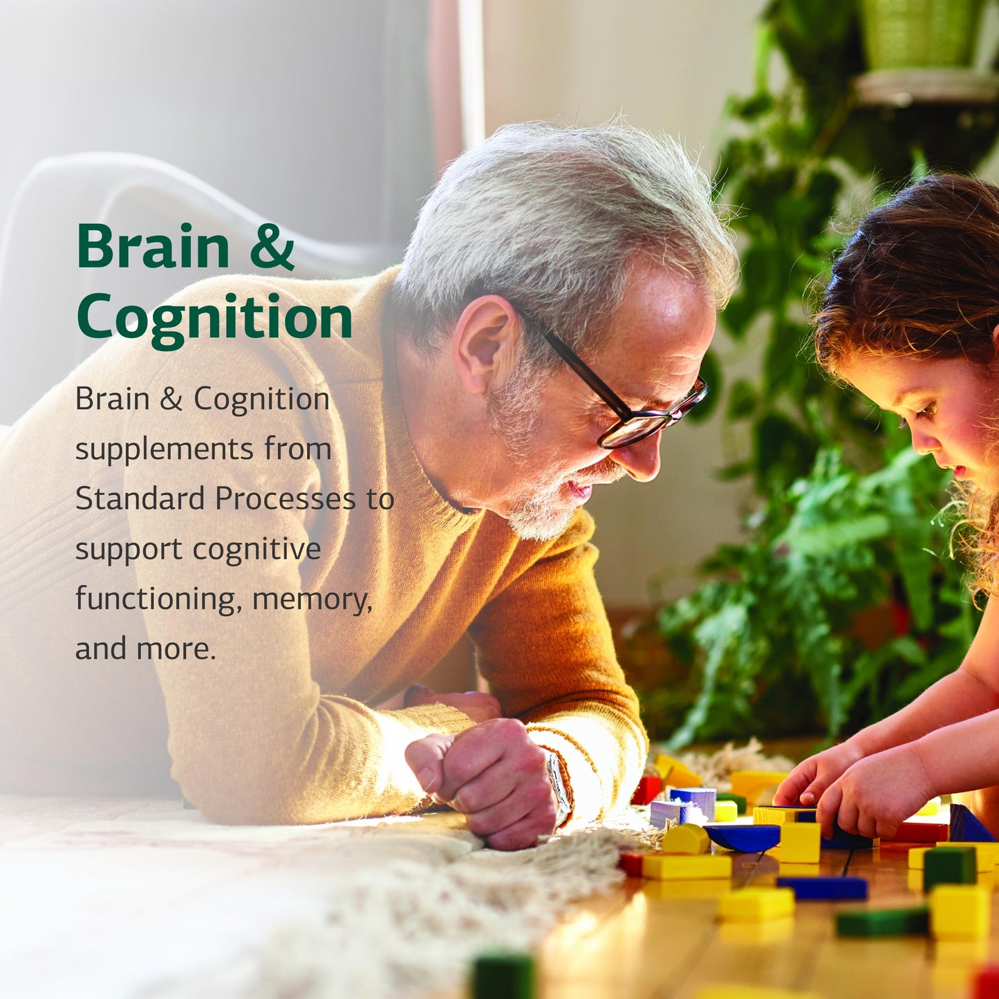 Standard Process Soybean Lecithin – Brain Health Support, 240 Softgels