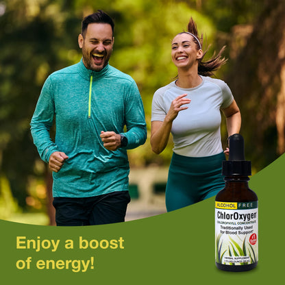 ChlorOxygen Chlorophyll Concentrate by Herbs Etc. – Energy & Blood Health (1 fl oz)