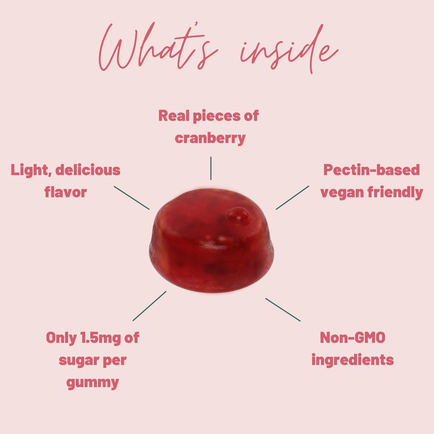 Mother Nutrient Cranberry Gummies – Urinary Tract Health, Women & Kids, 1000mg