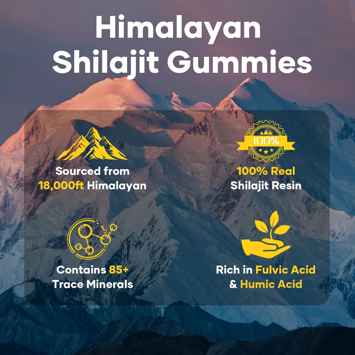 Pure Himalayan Shilajit Gummies Gold – Lab Tested, Ashwagandha & Gokshura