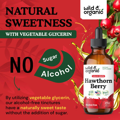 Wild & Organic Hawthorn Berry Tincture 600 mg – Vegan, Alcohol-Free Liquid Drops, 4 fl oz