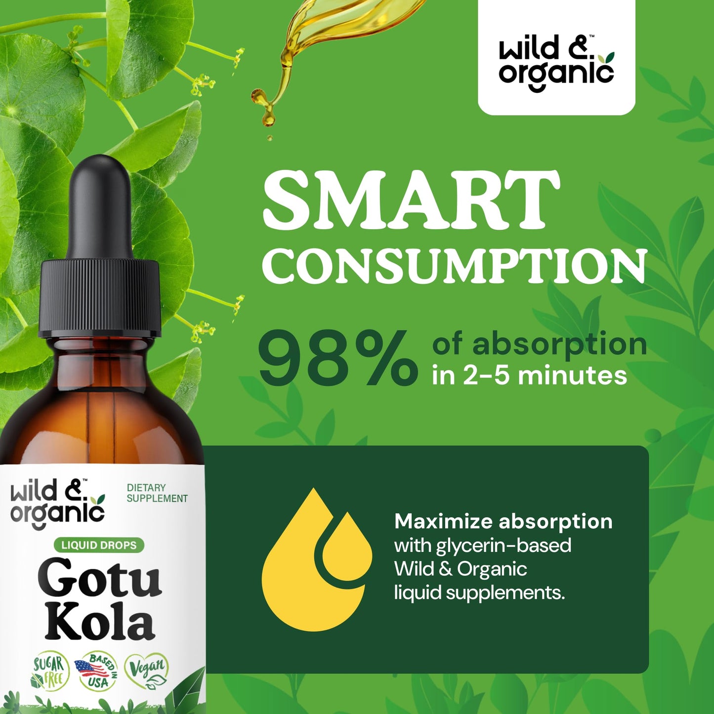 Wild & Organic Gotu Kola Tincture - Brain Support, Gotu Kola Liquid Extract Drops - Vegan, Sugar & Alcohol-Free 2 fl oz