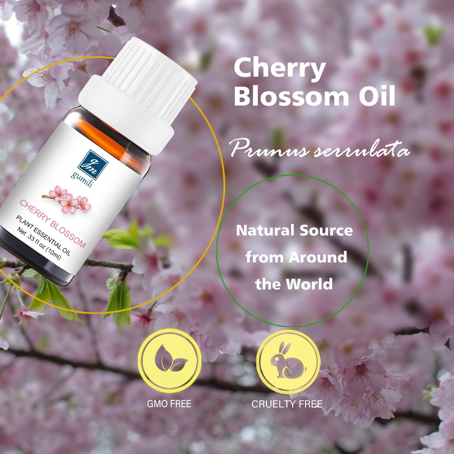 GM Gumili Cherry Blossom Essential Oil - 10mL Organic, Undiluted Fragrance for Aromatherapy