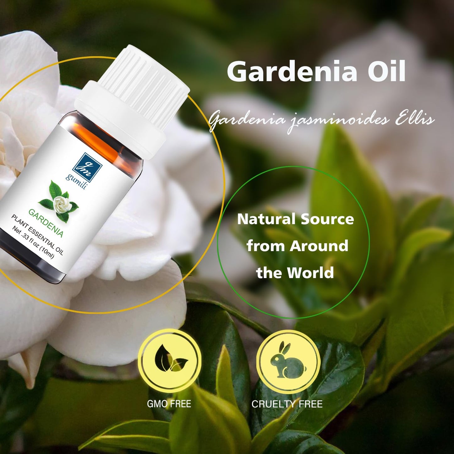 GM Gumili Gardenia Essential Oil – Organic 10mL for Aromatherapy