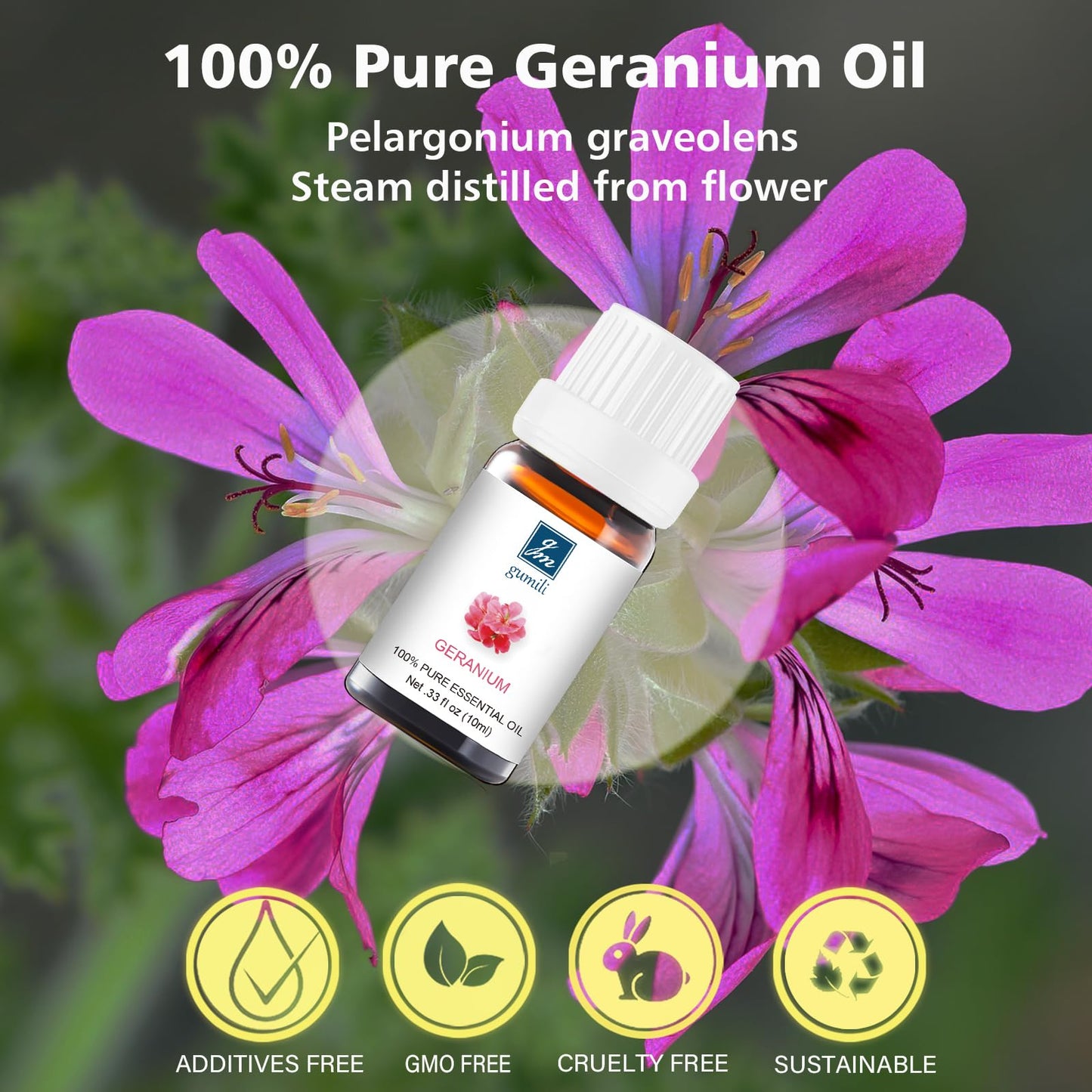 GM Gumili Geranium Essential Oil 10ml – 100% Pure for Diffuser, Skin, Hair