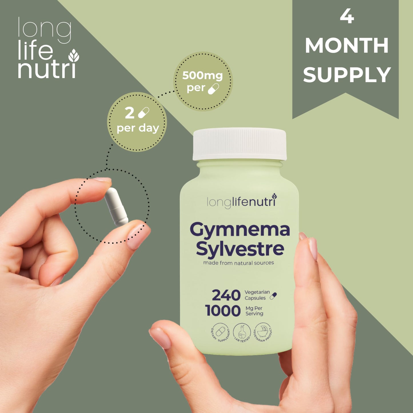 LongLifeNutri Gymnema Sylvestre 1000mg Organic 20:1 Extract - 240 Veg Capsules - Made in USA