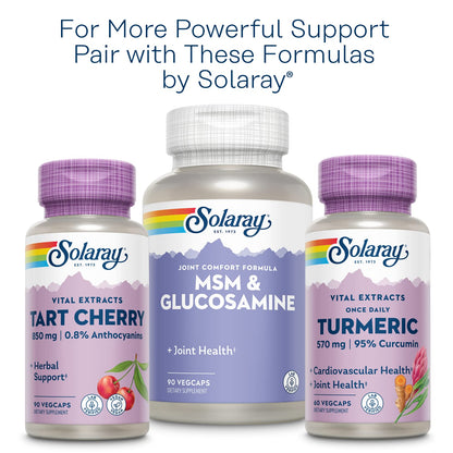 Solaray Celery Seed 505mg | 100 Vegetarian Capsules
