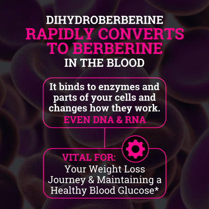 Black Forest 5X Berberine DHB with Ceylon Cinnamon – 5X Bioavailable