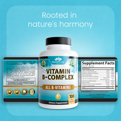NaturaLife Labs Vitamin B-Complex with Vitamin C & Folic Acid | 100 Capsules