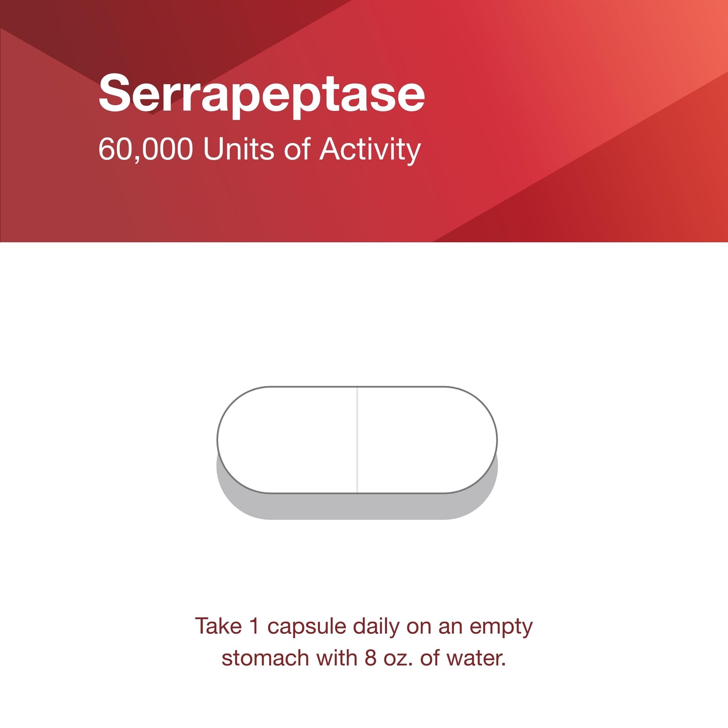 PROTOCOL FOR LIFE BALANCE Serrapeptase - Digestive Enzyme Capsule - 60,000 Units Activity -Support Respiratory Health - Immune Support Supplement - 60 Veg Caps