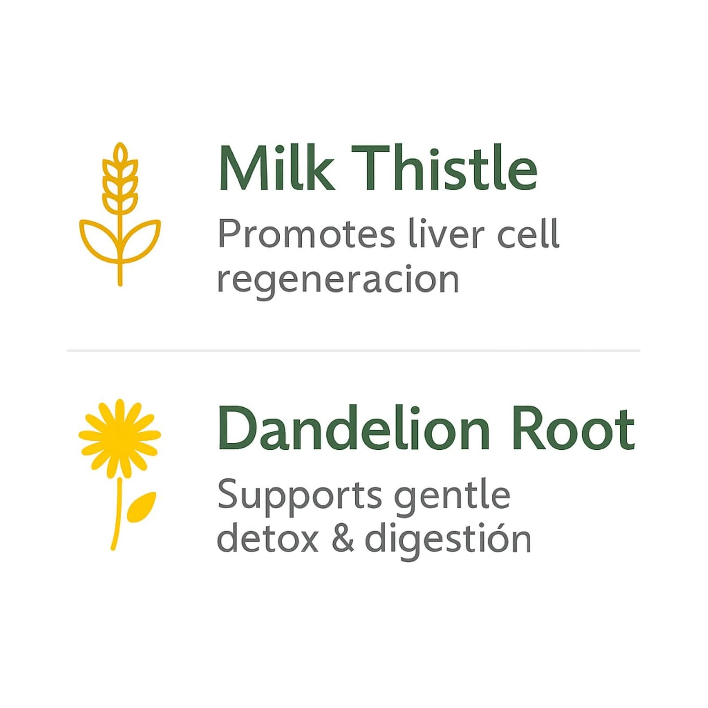 Milk Thistle + Dandelion Root — 90 Veggie Capsules | 1500 mg per Serving | Liver Health & Detox | 100% Natural | Made in USA | BexpertsUSA