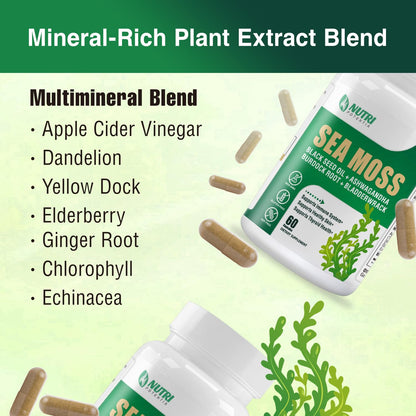 Irish Sea Moss Capsules with Black Seed Oil, Ashwagandha & Ginger – 16-in-1 Immune, Joint & Gut Support (60 Capsules)