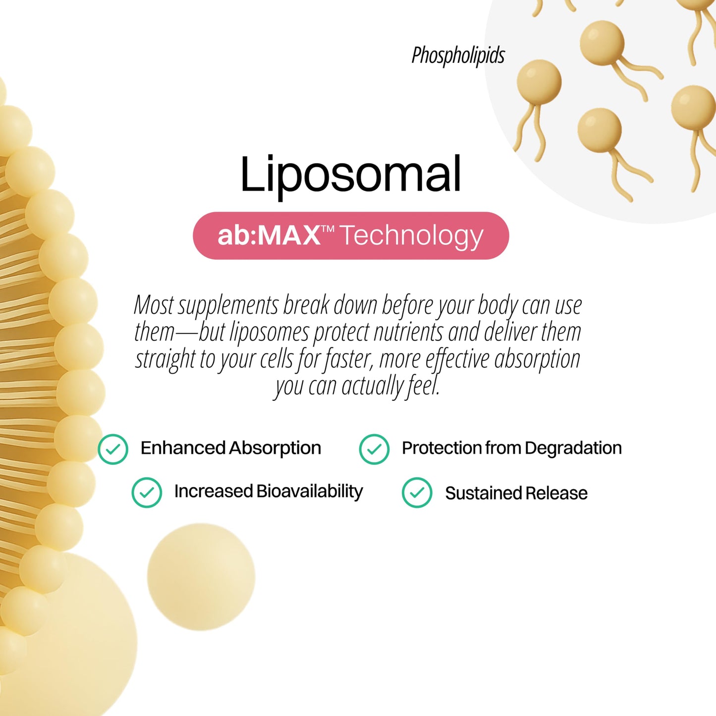 Liposomal Marine Collagen Powder Packets 2100mg – Sugar-Free, Vitamin C 190mg, Peach Pomegranate – 30 Packets