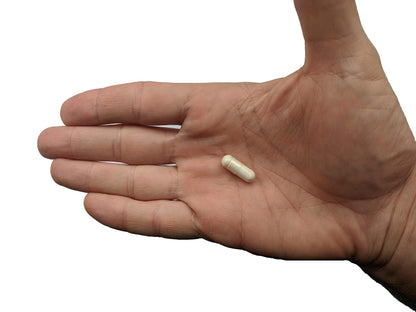 Premium Probiotic + Ultimate Prebiotic – Gut Biome Builder (4.4B CFU, Bacillus Subtilis)