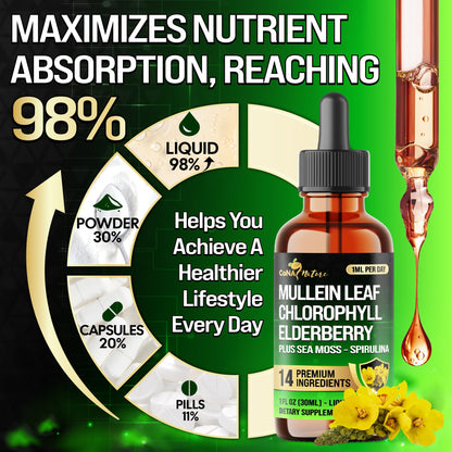 14in1 Mullein Liquid Drops – Immune & Respiratory Support, 30-Day, 1 fl oz