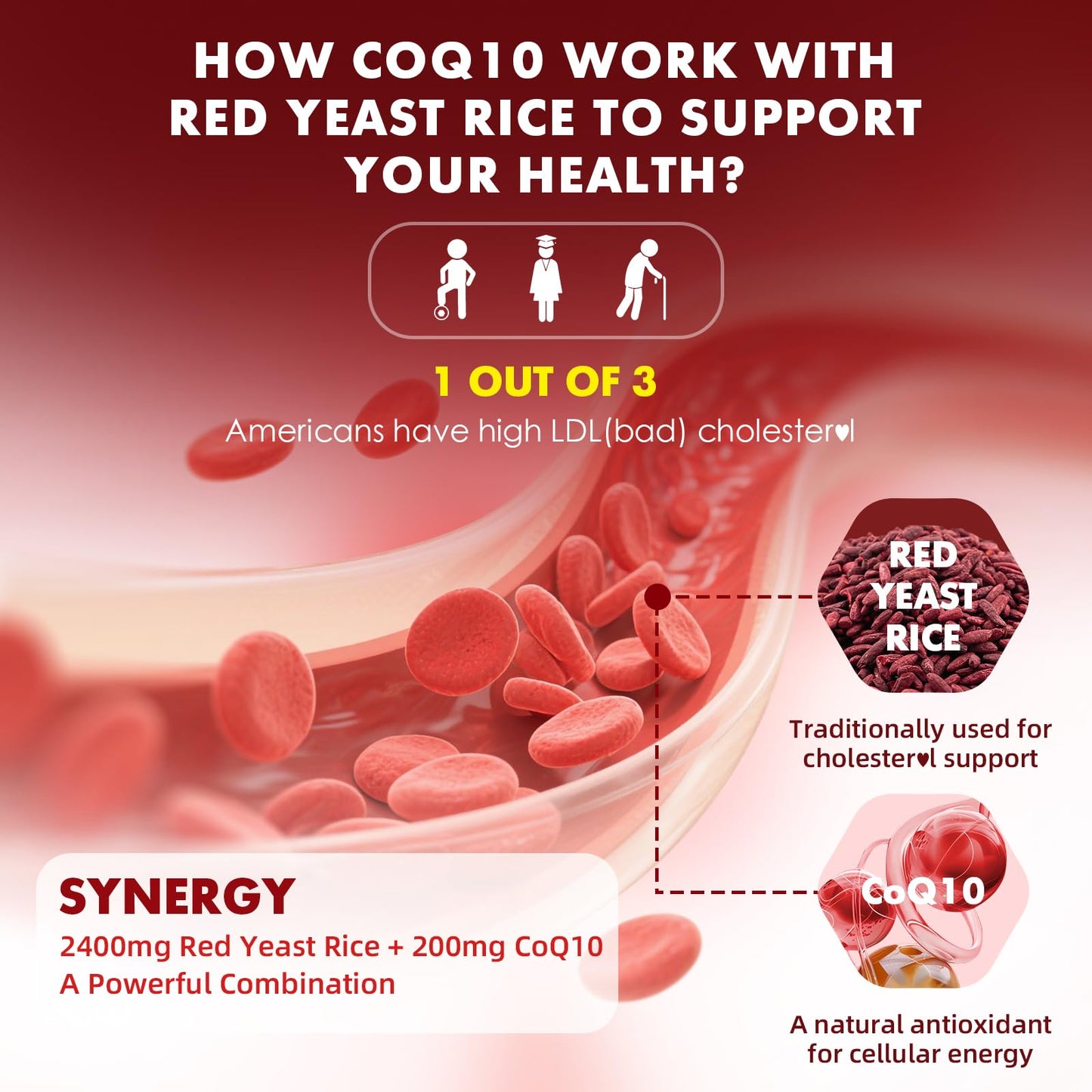 2 Pack Red Yeast Rice with CoQ10 Gummies - Sugar Free Raspberry Flavor, 120 Count