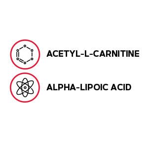 GNC Acetyl-L-Carnitine Alpha-Lipoic Acid 500mg | Mood Support | 60 Count