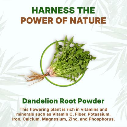 Go Nutra Dandelion Root Powder - 10:1 Concentrated, Caffeine Free for Tea, Coffee & Beverages | 8 oz | Non-GMO, Vegan