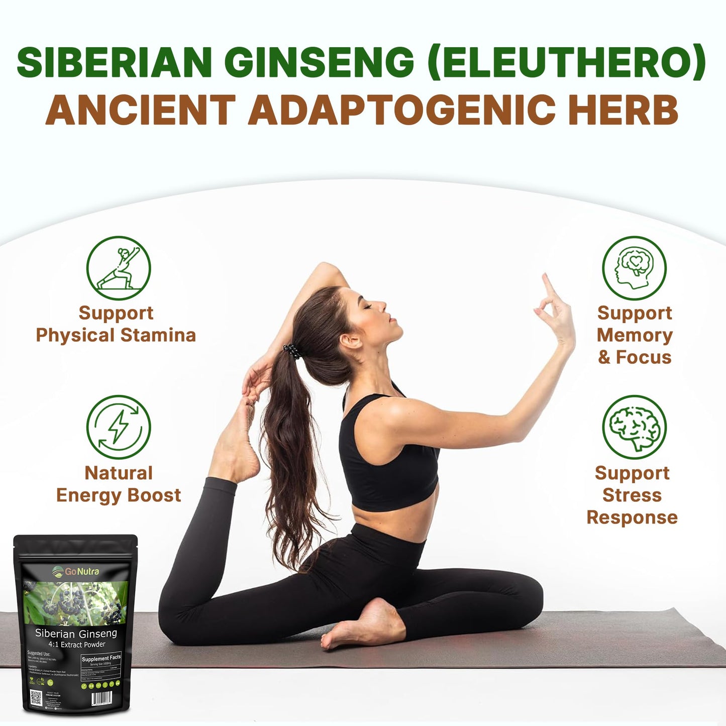 Go Nutra Siberian Ginseng - Eleuthero Root Powder 4:1 Extract, 1lb