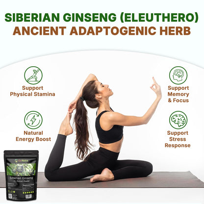 Go Nutra Siberian Ginseng - Eleuthero Root Powder 4:1 Extract, 1lb