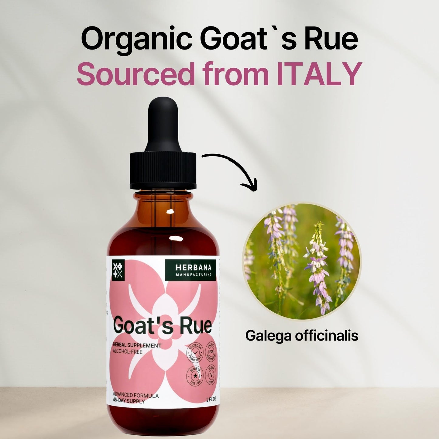 Goat's Rue Liquid Extract 2 oz – Lactation Support for Breast Milk Production