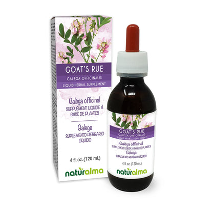 Naturalma Goat's Rue Tincture 4 oz - Alcohol-Free, Vegan
