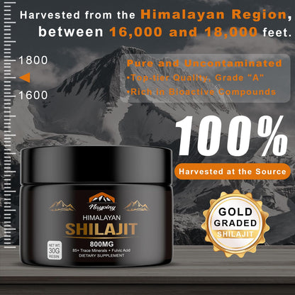 Shilajit Pure Himalayan Organic Resin 800mg – Gold Grade Shilajit with Fulvic Acid & 85+ Trace Minerals Complex for Energy & Immunity