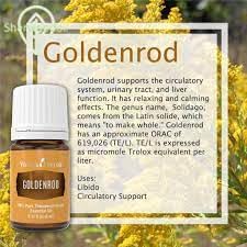 Goldenrod Essential Oil 5ml | Warm, Uplifting Aroma for Diffusing, Topical & DIY Blends | Young Living Seed to Seal