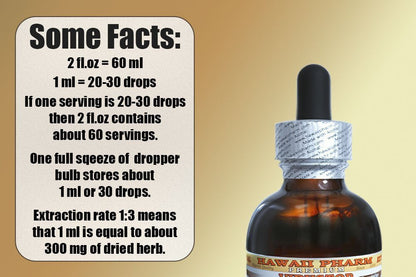 Goldenrod Glycerite 2 oz – Organic, Alcohol-Free Liquid Extract