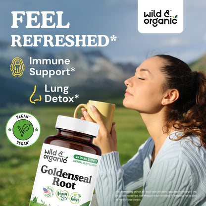 Wild & Organic Goldenseal Root Capsules 1000mg – Immune & Lung Support
