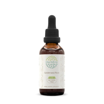 HerbEra Goldenseal Root B60 Alcohol-Free Tincture - 2 fl oz