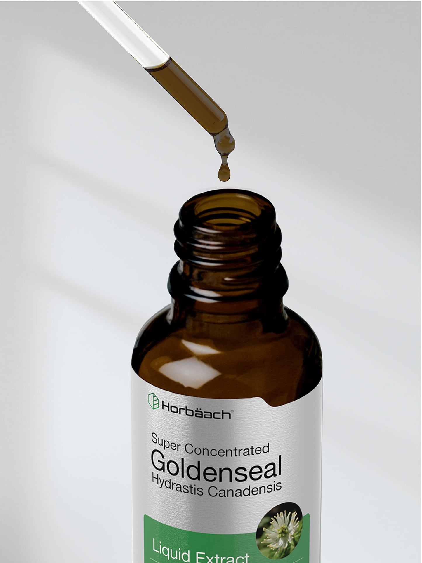 Horbaach Goldenseal Tincture Liquid Extract – 1 fl oz | Alcohol Free