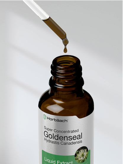 Horbaach Goldenseal Tincture Liquid Extract – 1 fl oz | Alcohol Free