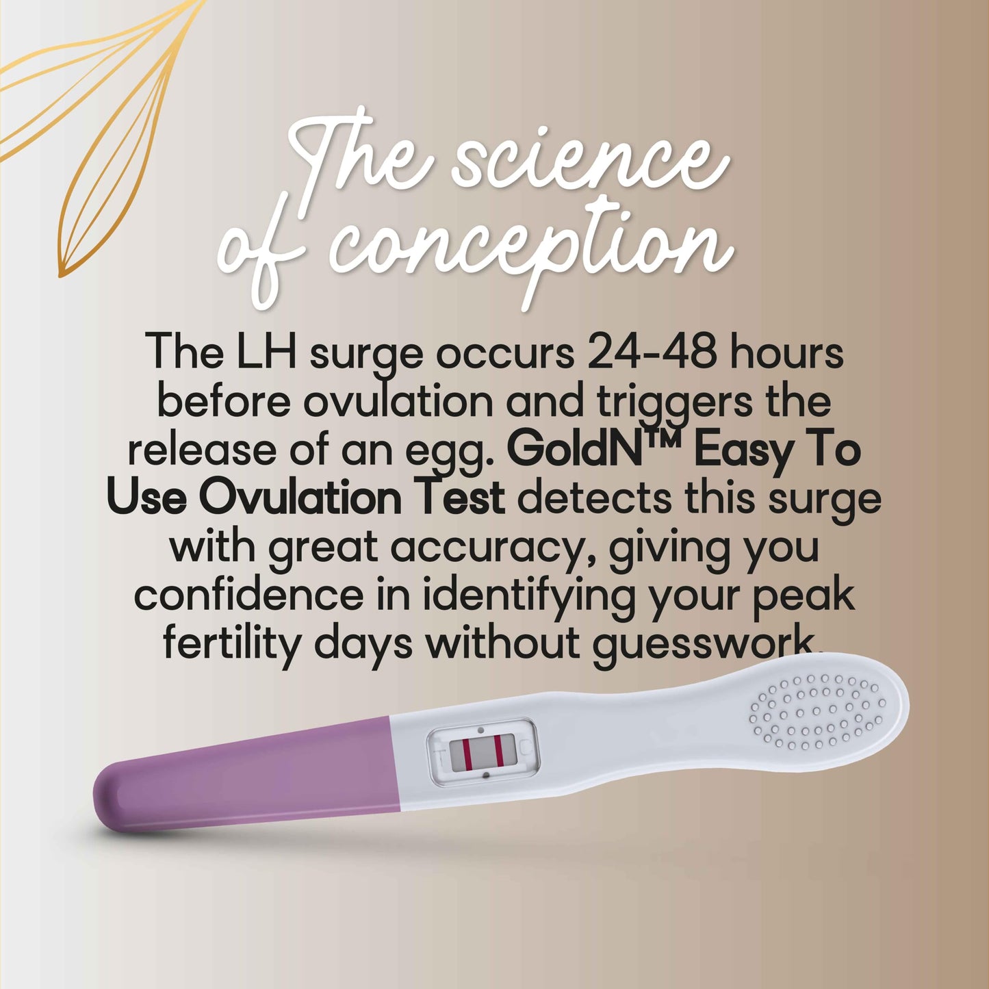 GoldN™ Easy-to-Use Ovulation Test Predictor Kit – 10 Count | 5-Minute Midstream LH Surge TTC