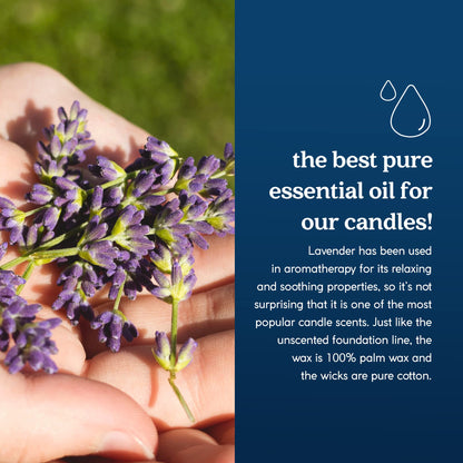GoodLight Paraffin-Free Lavender Essential Oil Travel Candle | Clean Burning Non-Toxic Tin, 6oz