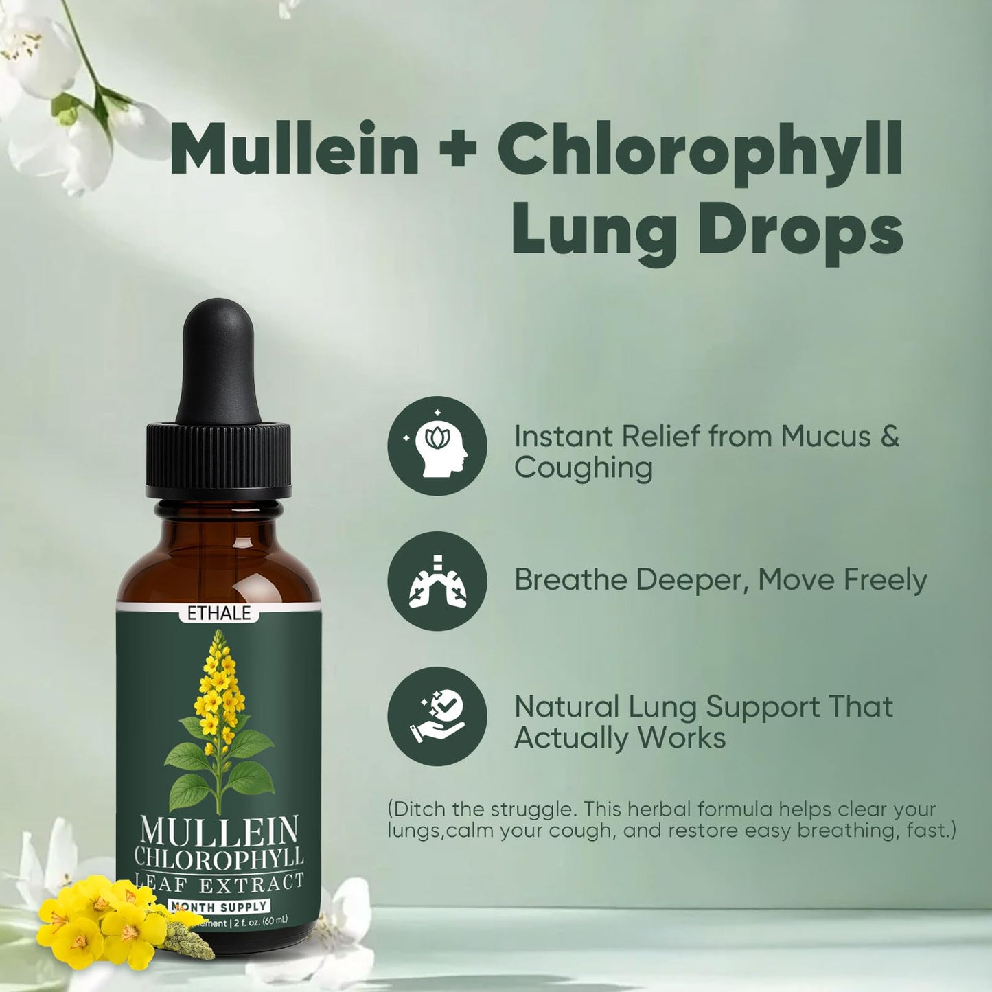 GOOVIP ETHALE Mullein Drops for Lungs – Respiratory Support & Lung Detox