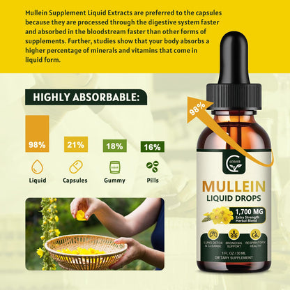 GORNVB Mullein Drops for Lungs (2 Pack) - Respiratory Support & 4 in 1 Mullein Leaf Extract | 1 Fl Oz