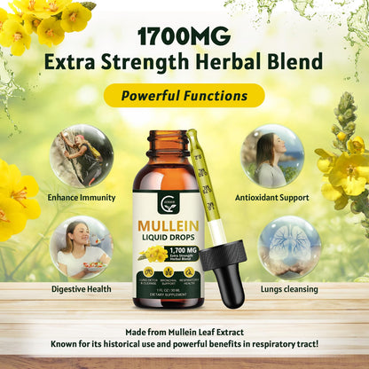 GORNVB Mullein Drops for Lungs (2 Pack) - Respiratory Support & 4 in 1 Mullein Leaf Extract | 1 Fl Oz