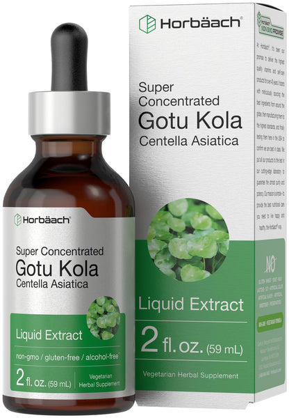 Gotu Kola Extract 2 fl oz Alcohol-Free Liquid Supplement | Horbaach