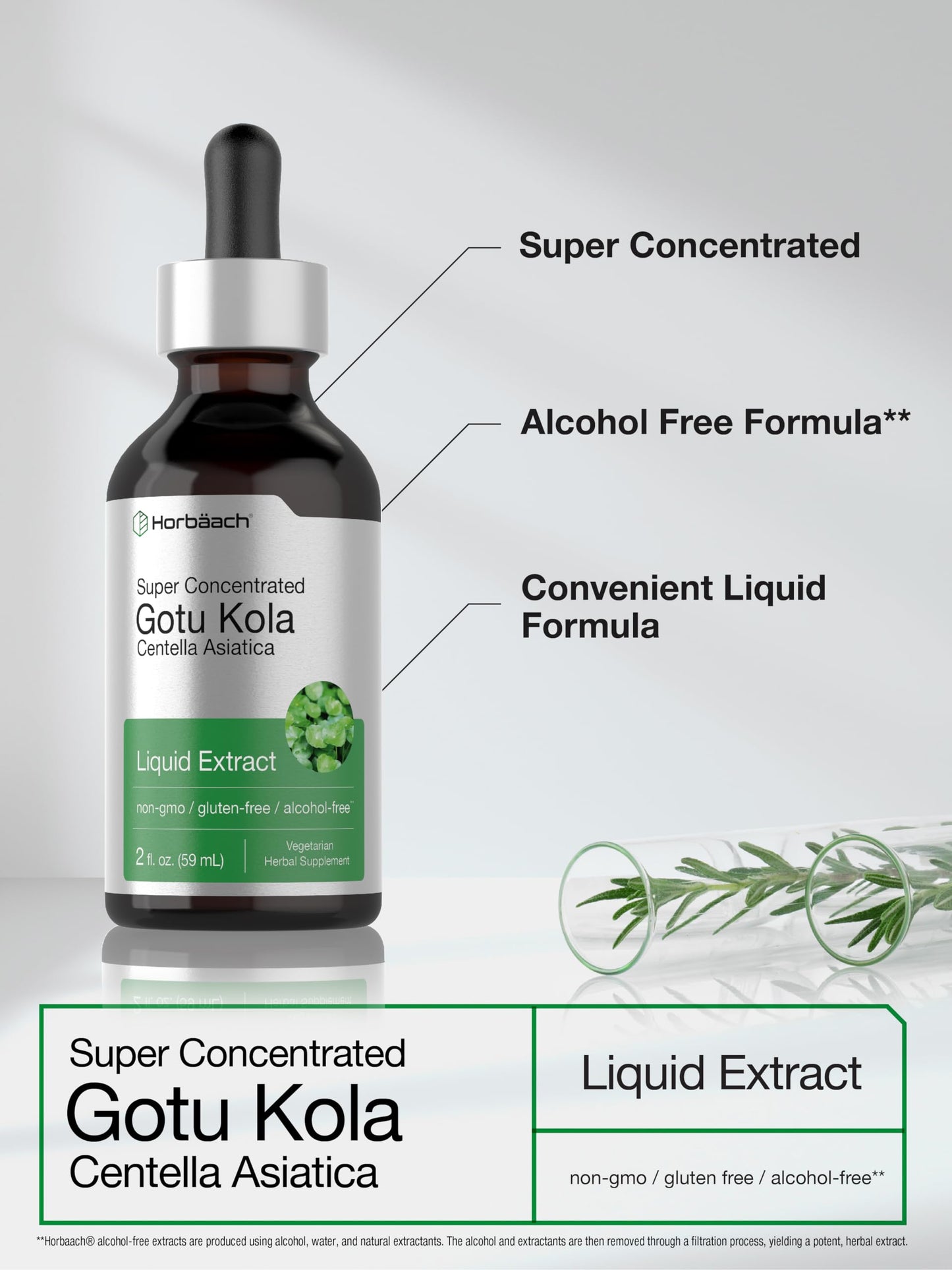 Gotu Kola Extract 2 fl oz Alcohol-Free Liquid Supplement | Horbaach
