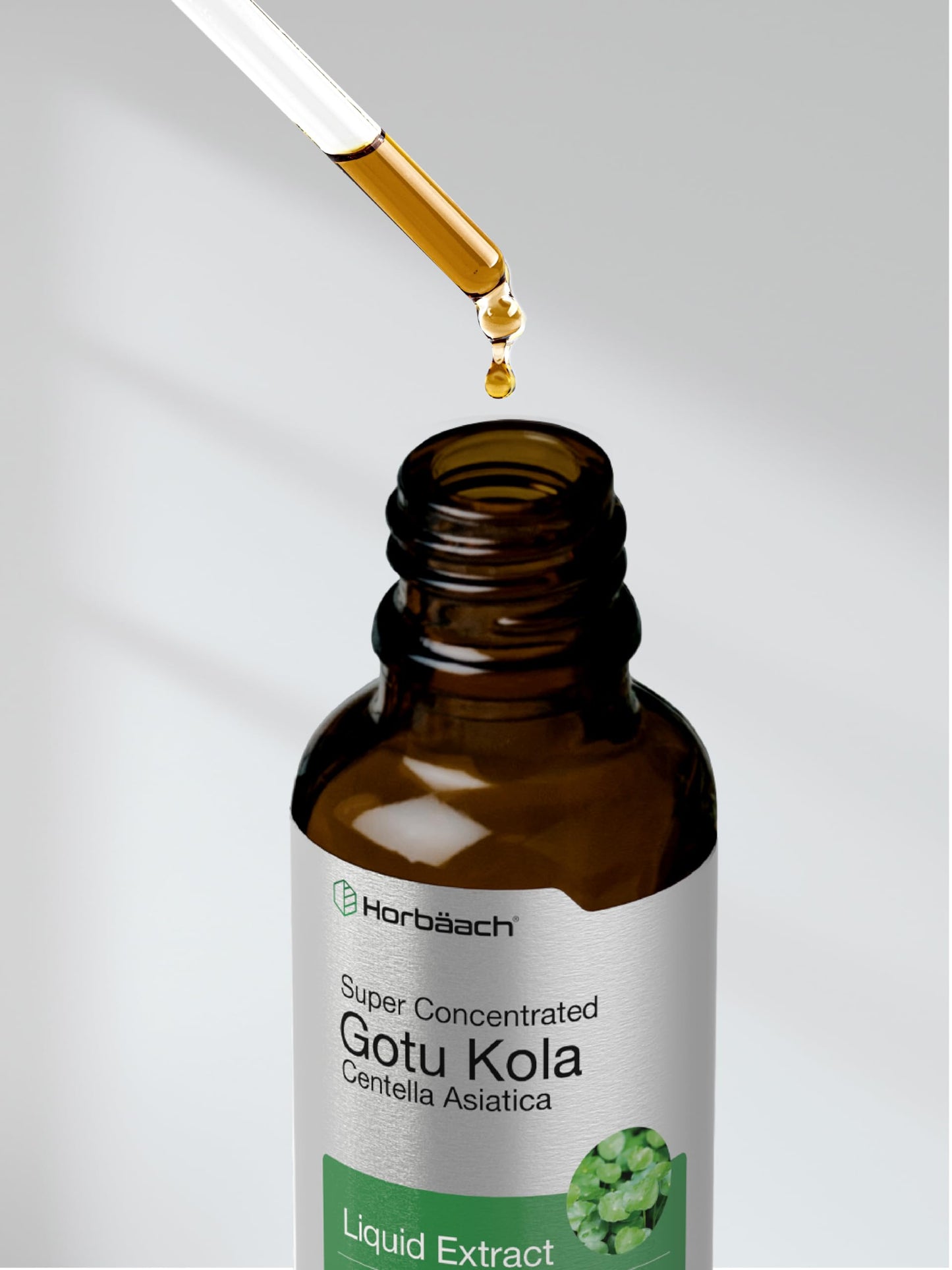 Gotu Kola Extract 2 fl oz Alcohol-Free Liquid Supplement | Horbaach