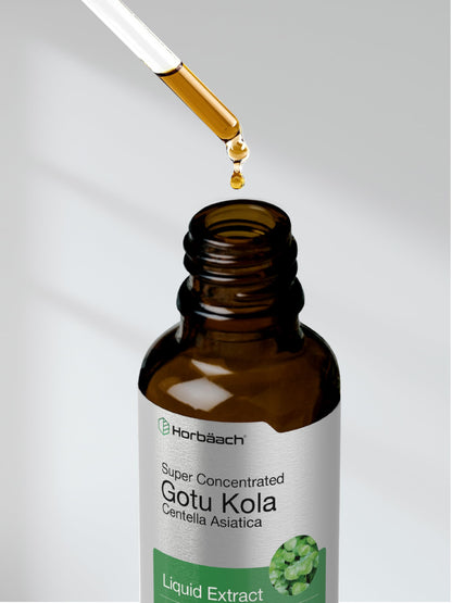 Gotu Kola Extract 2 fl oz Alcohol-Free Liquid Supplement | Horbaach
