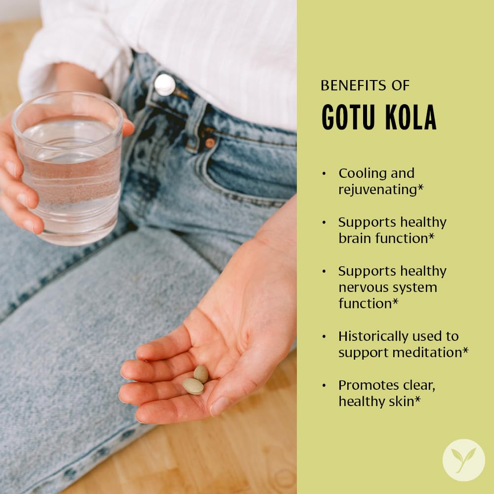 Banyan Botanicals Gotu Kola (Centella Asiatica) – Organic Adaptogen & Nootropic Brain Support | 90 Tablets | Vegan & Fairly Traded