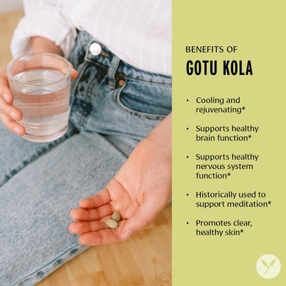 Banyan Botanicals Gotu Kola (Centella Asiatica) – Organic Adaptogen & Nootropic Brain Support | 90 Tablets | Vegan & Fairly Traded