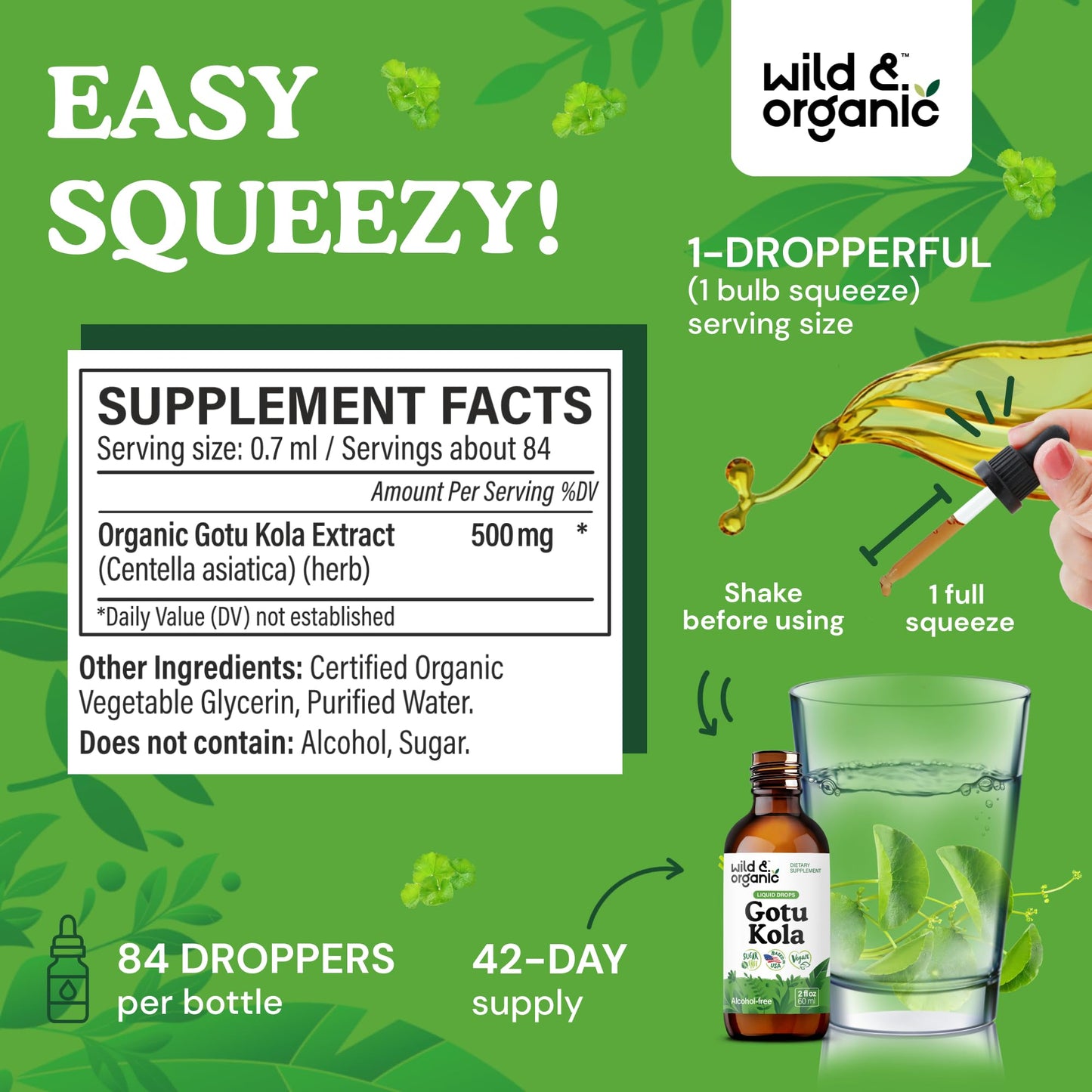 Wild & Organic Gotu Kola Tincture - Brain Support, Gotu Kola Liquid Extract Drops - Vegan, Sugar & Alcohol-Free 2 fl oz