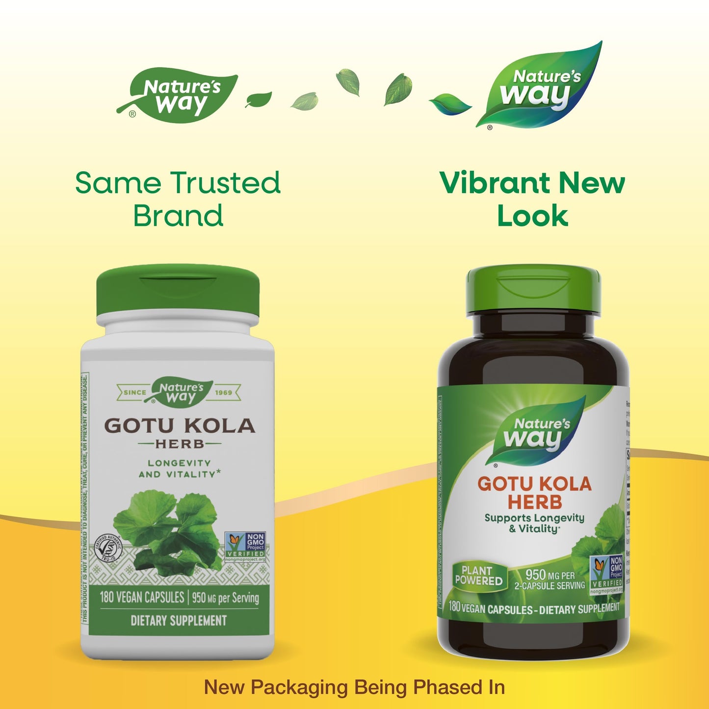 Nature's Way Gotu Kola Herb – 950 mg per 2-Capsule Serving | 180 Capsules | Non-GMO Project Verified (Packaging May Vary)