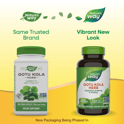 Nature's Way Gotu Kola Herb – 950 mg per 2-Capsule Serving | 180 Capsules | Non-GMO Project Verified (Packaging May Vary)